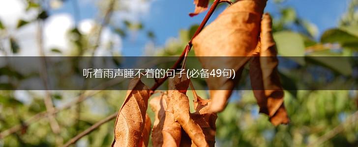 听着雨声睡不着的句子(必备49句),第1张