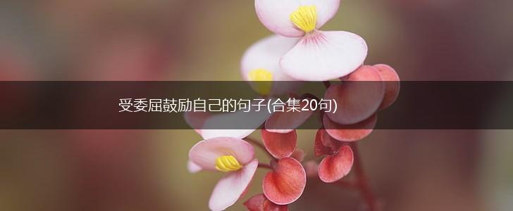 受委屈鼓励自己的句子(合集20句),第1张