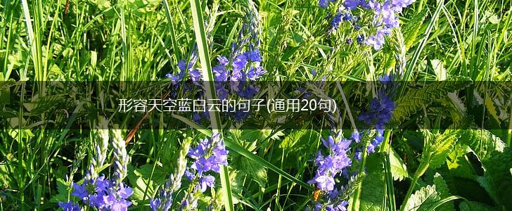 形容天空蓝白云的句子(通用20句),第1张