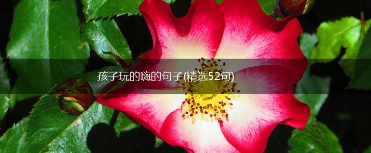 孩子玩的嗨的句子(精选52句),第1张