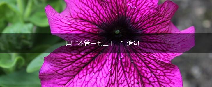 用“不管三七二十一”造句,第1张