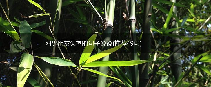 对男朋友失望的句子说说(推荐49句),第1张