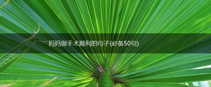 妈妈做手术顺利的句子(必备50句),第1张