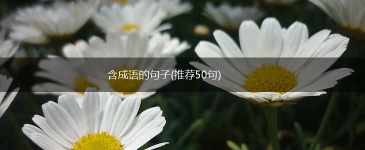 含成语的句子(推荐50句),第1张