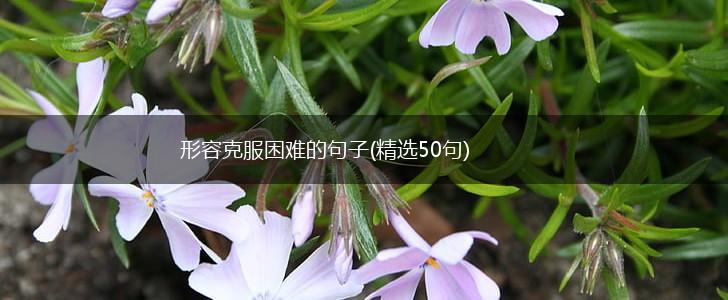 形容克服困难的句子(精选50句),第1张
