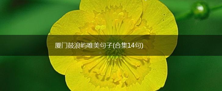 厦门鼓浪屿唯美句子(合集14句),第1张