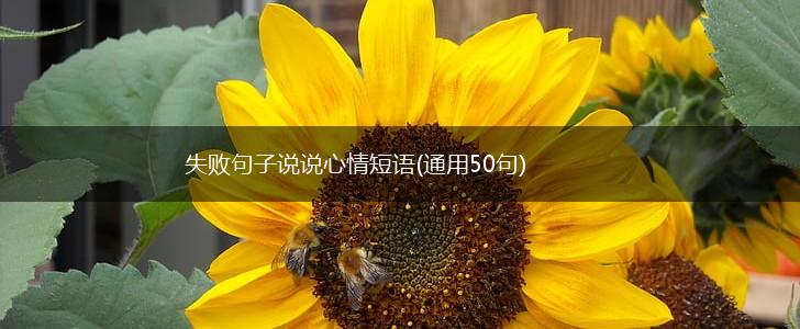 失败句子说说心情短语(通用50句),第1张