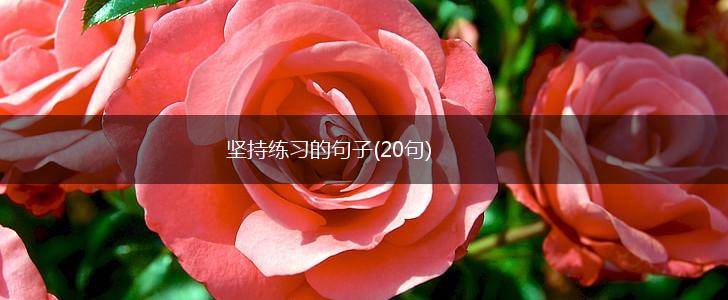坚持练习的句子(20句),第1张
