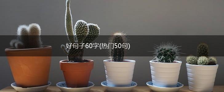 好句子60字(热门50句),第1张