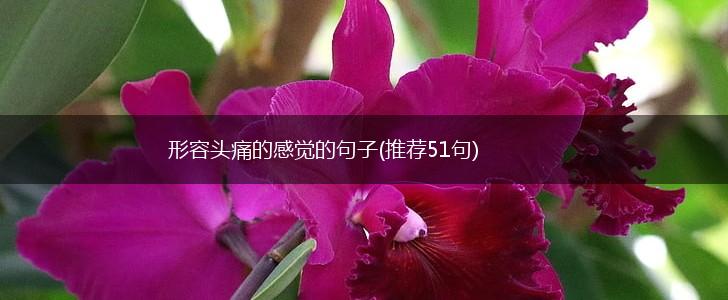 形容头痛的感觉的句子(推荐51句),第1张
