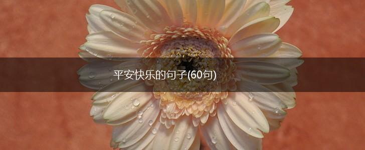 平安快乐的句子(60句),第1张