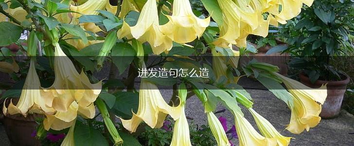 进发造句怎么造,第1张
