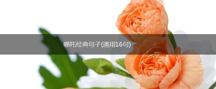 哪吒经典句子(通用16句),第1张