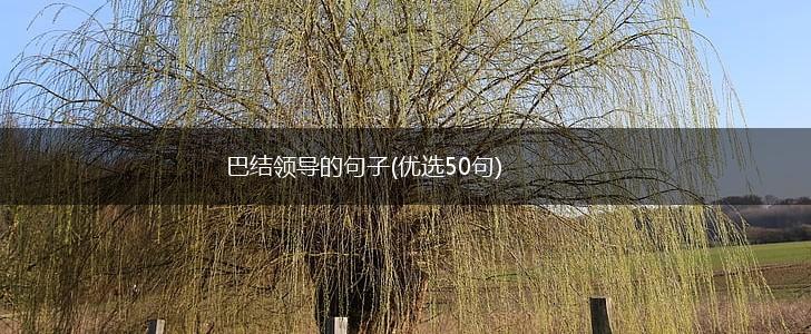 巴结领导的句子(优选50句),第1张