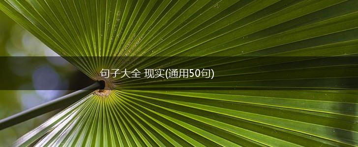 句子大全 现实(通用50句),第1张
