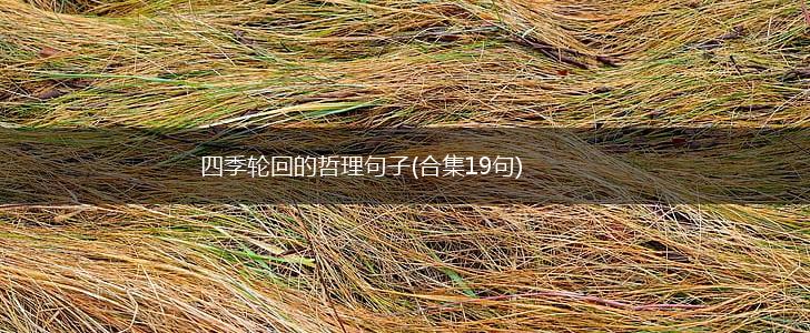 四季轮回的哲理句子(合集19句),第1张