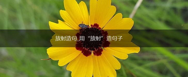 放射造句_用“放射”造句子,第1张