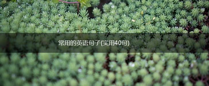 常用的英语句子(实用40句),第1张