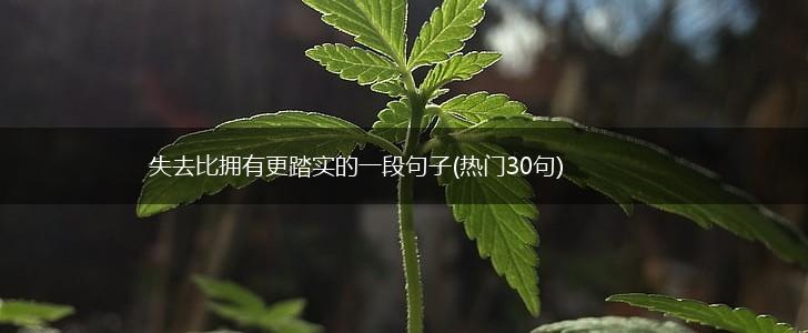 失去比拥有更踏实的一段句子(热门30句),第1张