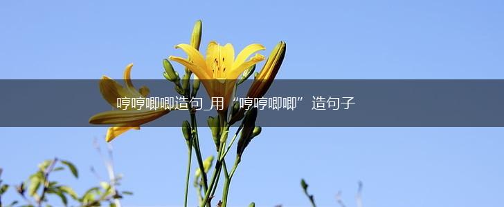 哼哼唧唧造句_用“哼哼唧唧”造句子,第1张