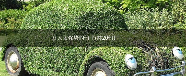 女人太强势的句子(共20句),第1张