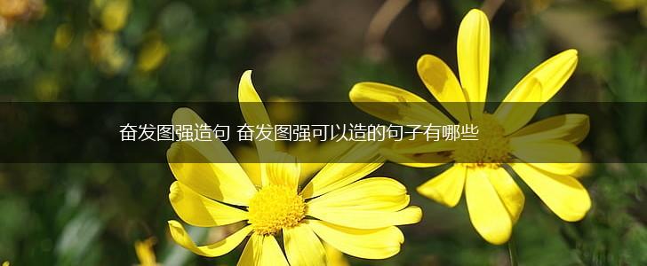 奋发图强造句 奋发图强可以造的句子有哪些,第1张
