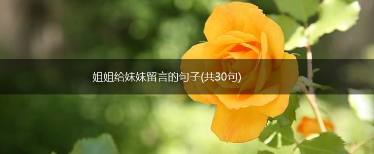 姐姐给妹妹留言的句子(共30句),第1张