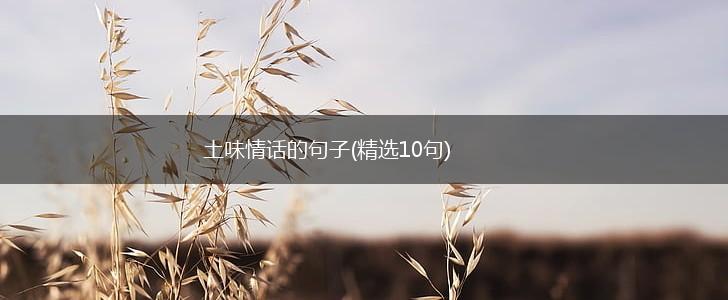土味情话的句子(精选10句),第1张