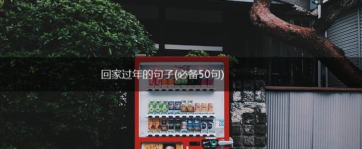 回家过年的句子(必备50句),第1张