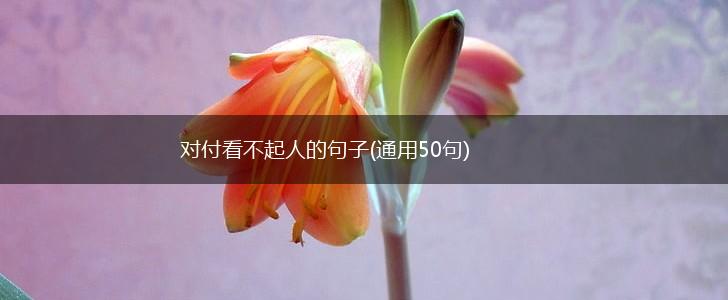 对付看不起人的句子(通用50句),第1张