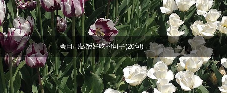夸自己做饭好吃的句子(20句),第1张