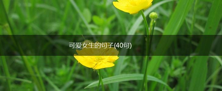 可爱女生的句子(40句),第1张