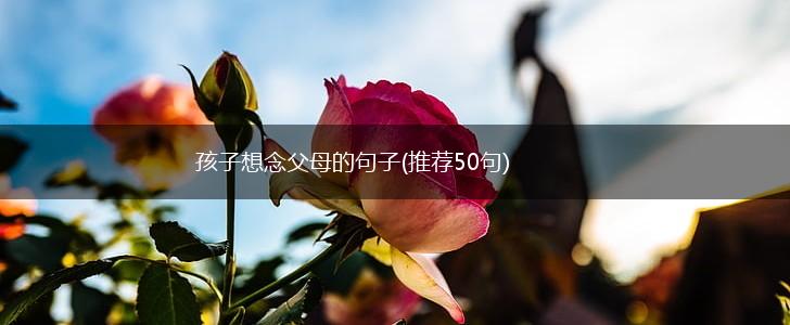 孩子想念父母的句子(推荐50句),第1张