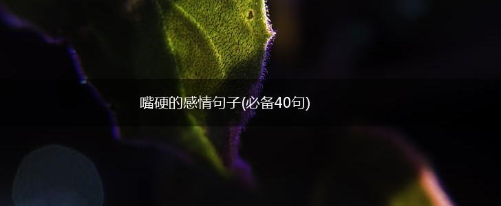 嘴硬的感情句子(必备40句),第1张