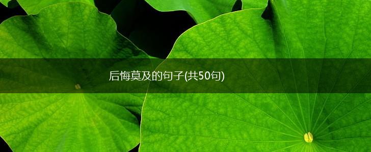 后悔莫及的句子(共50句),第1张