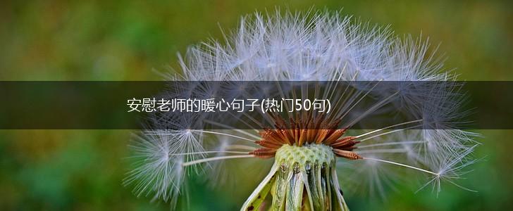 安慰老师的暖心句子(热门50句),第1张
