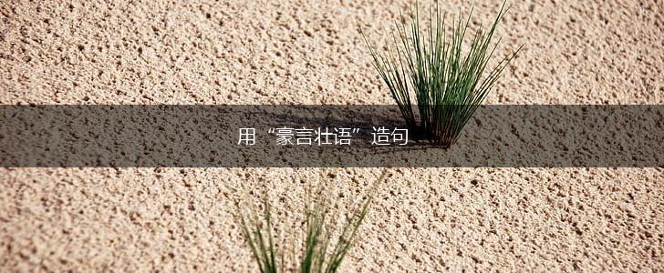 用“豪言壮语”造句,第1张