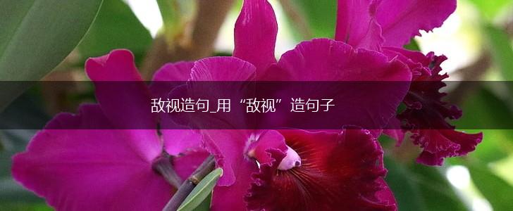 敌视造句_用“敌视”造句子,第1张