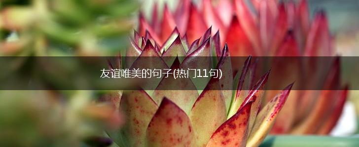友谊唯美的句子(热门11句),第1张