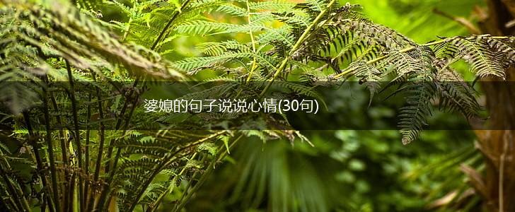 婆媳的句子说说心情(30句),第1张