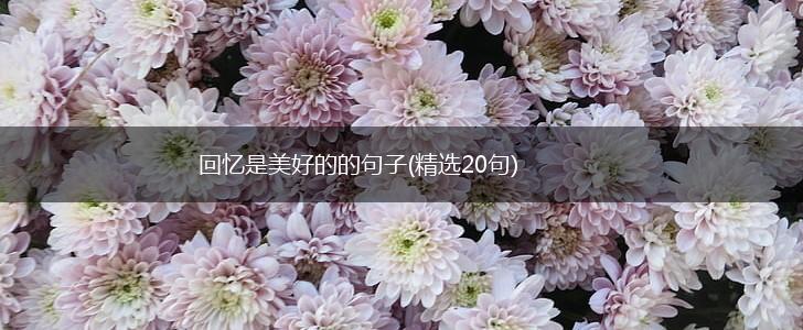 回忆是美好的的句子(精选20句),第1张