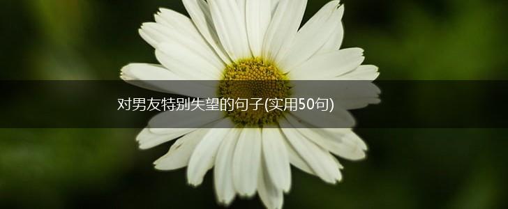 对男友特别失望的句子(实用50句),第1张