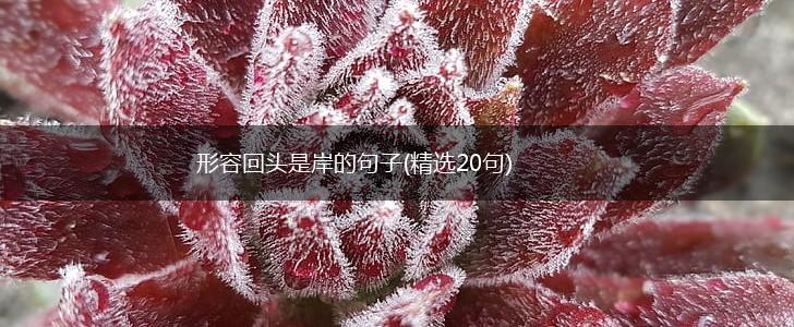 形容回头是岸的句子(精选20句),第1张