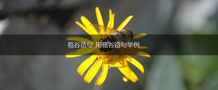 苞谷造句_用苞谷造句举例,第1张