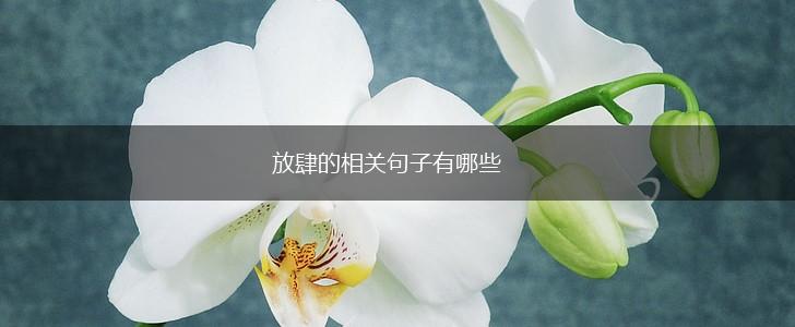 放肆的相关句子有哪些,第1张