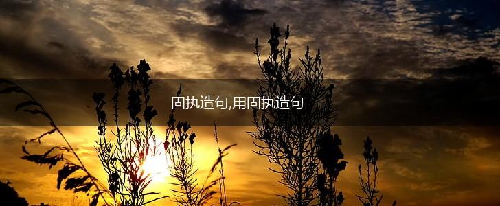 固执造句,用固执造句,第1张