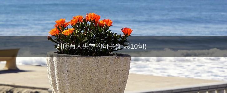 对所有人失望的句子(汇总10句),第1张