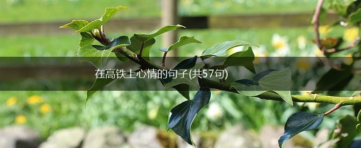在高铁上心情的句子(共57句),第1张