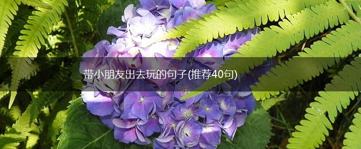 带小朋友出去玩的句子(推荐40句),第1张