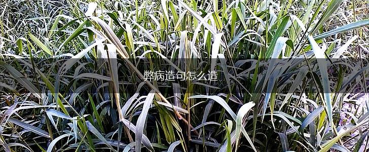 弊病造句怎么造,第1张